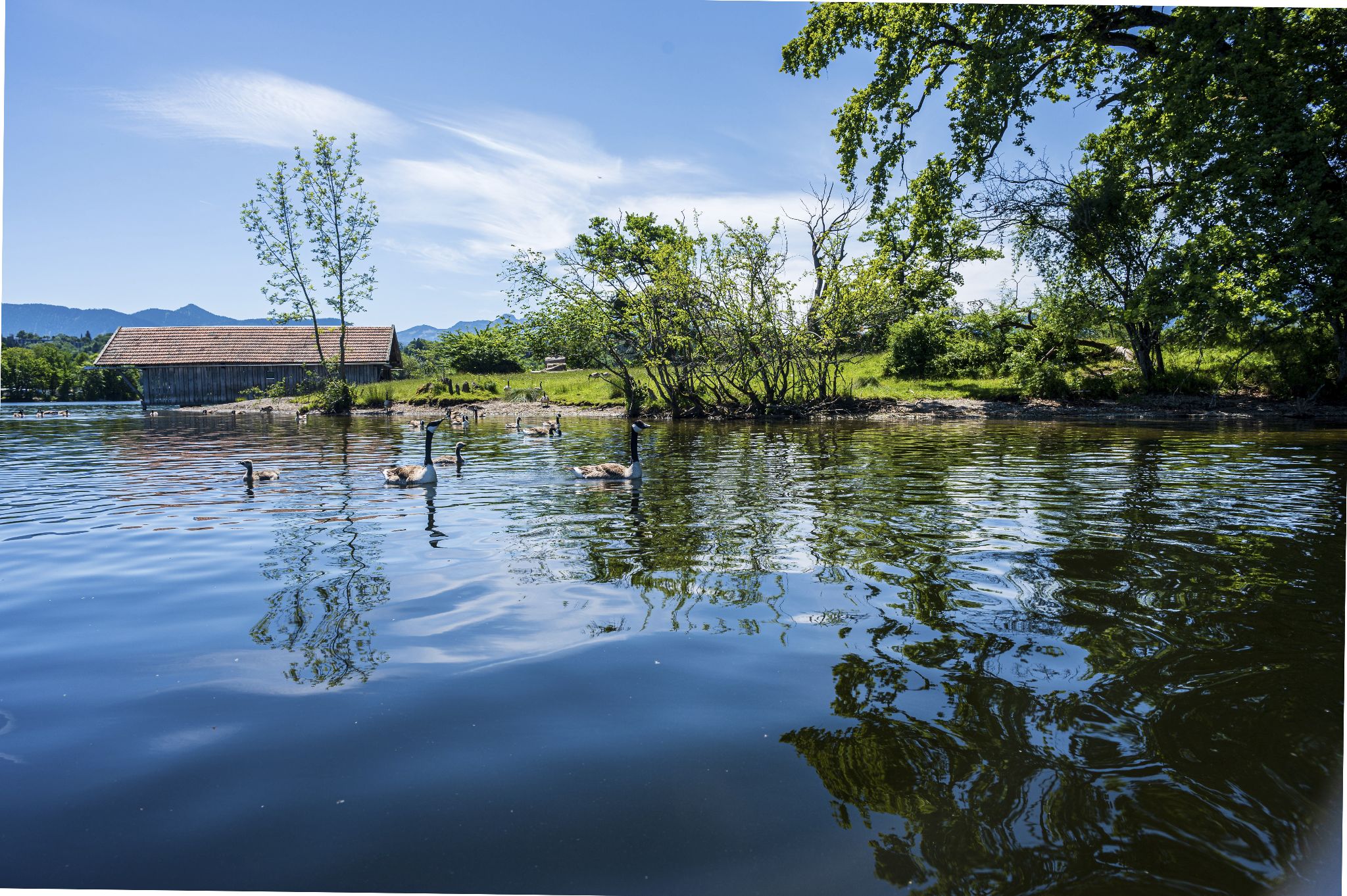 Kajaktour Staffelsee 12.06.22